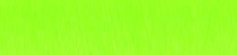 Aluminium lijst - NIELSEN - Profiel 221 - Cyber green 221-215