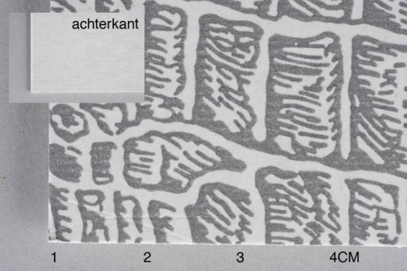 Achtertik grijs reptiel