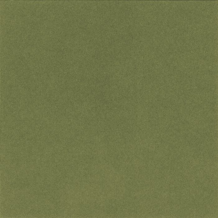 Passe-partout - ARTIQUE - Aloe A4877