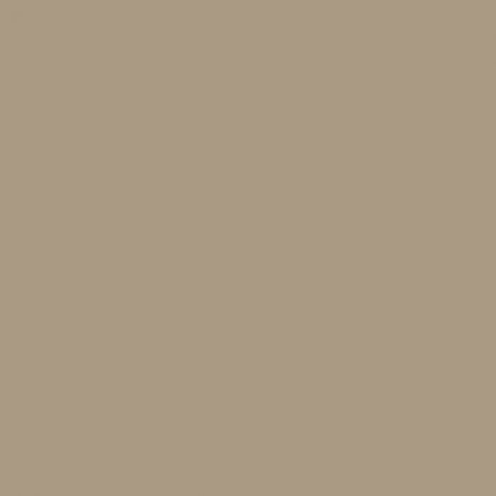 Passe-partout - ARTIQUE - Khaki - A4809