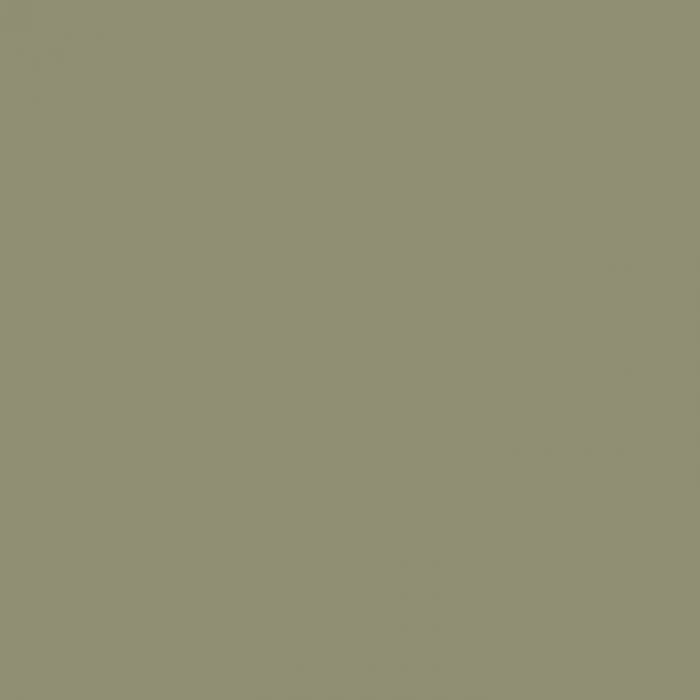 Passe-partout - ARTIQUE - Olive Grey A4930